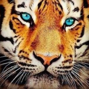 Meet your Posher, Kaylin